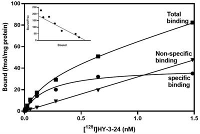 In vitro characterization of [125I]HY-3-24, a selective ligand for the dopamine D3 receptor